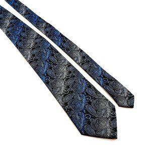 CTR Clothing Mens Necktie Designer Accessory Paisley Office Work Casual Dad Gift